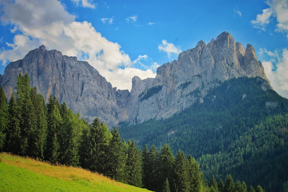A breathtaking summer view of the majestic Dolomites and lush forests in Canazei, Italy.